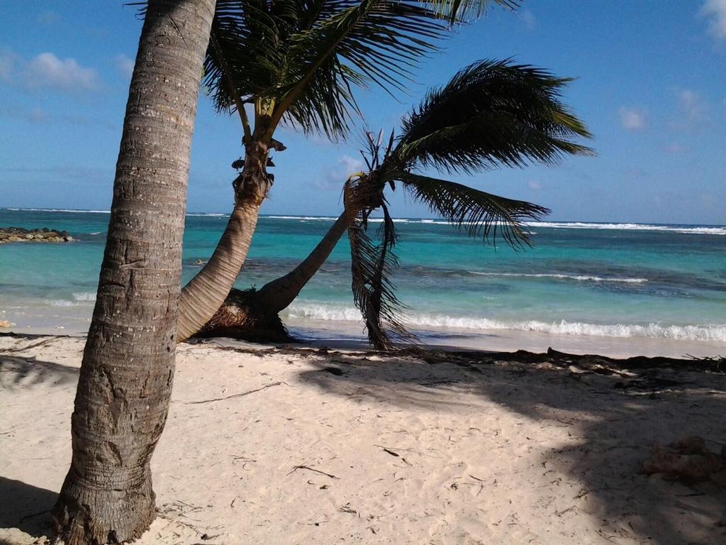 Le Carambolier Hébergement de vacances